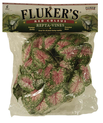 Fluker's Red Coleus Repta-Vines Green, Red 1ea/6 ft