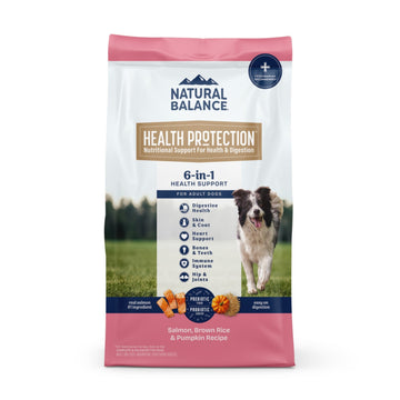 Natural Balance Pet Foods Health Protection Dry Dog Food Salmon, Brown Rice  Pumpkin, 1ea/4 lb