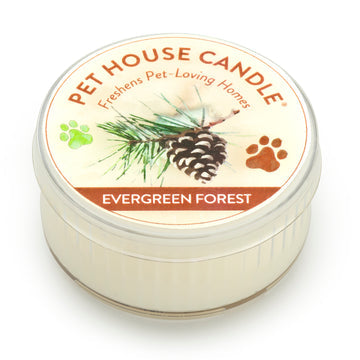 Pet House Candle Evergreen Forest Mini Case of 12