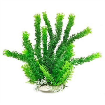 Aquatop Cabomba Aquarium Plant with Weighted Base Green 1ea/6 in