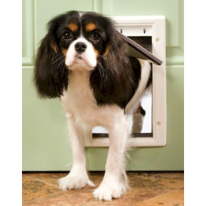 PetSafe Plastic Dog Door - Small - PPA00-10958